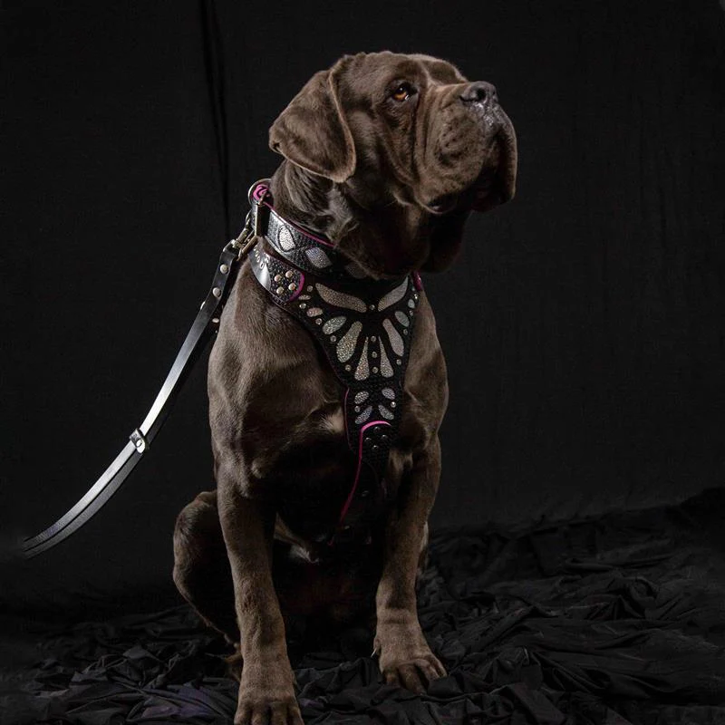 The ''Ariel'' collar - Image 4