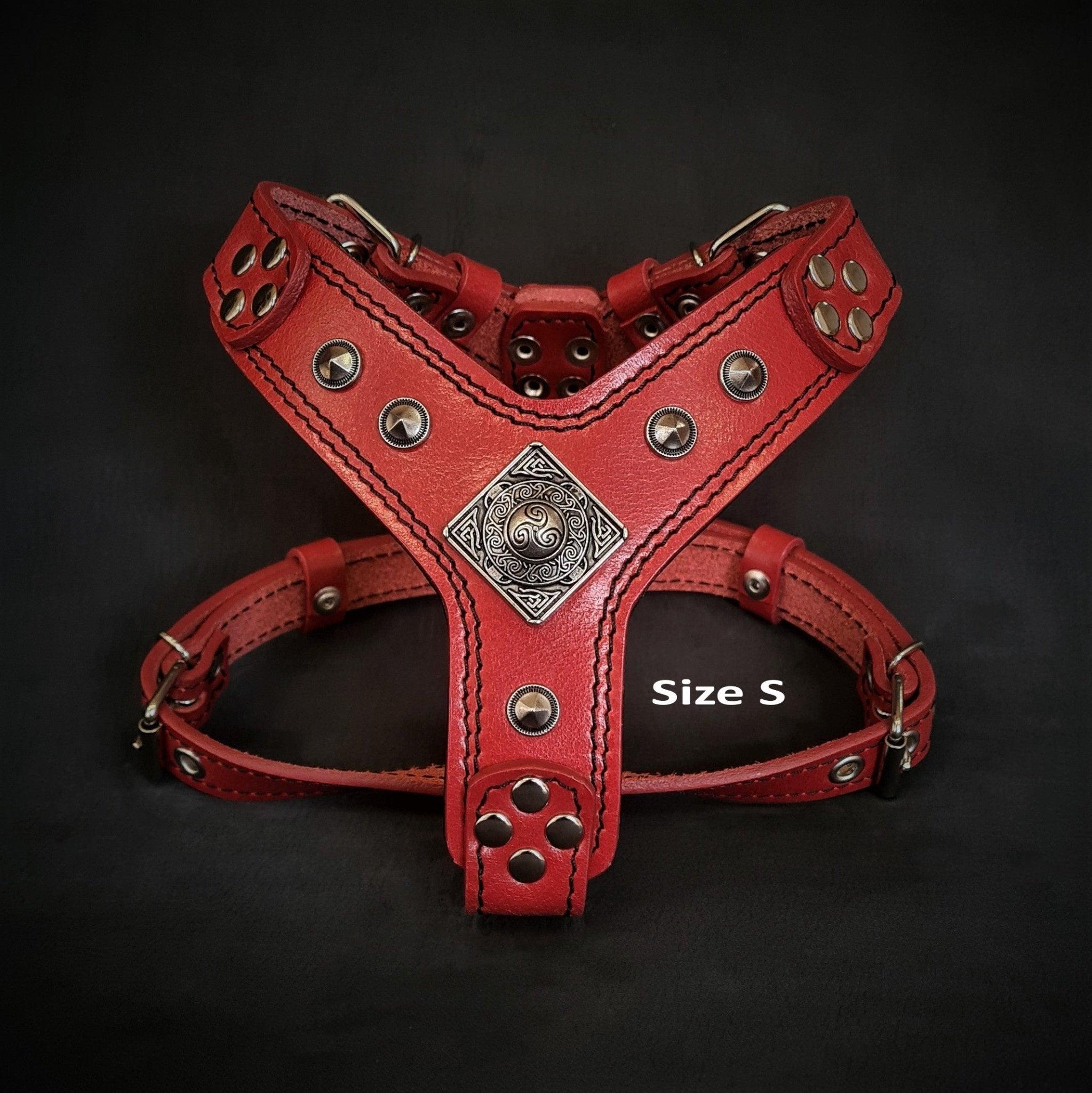 The ''Eros'' harness red Small to Medium Size - Image 2